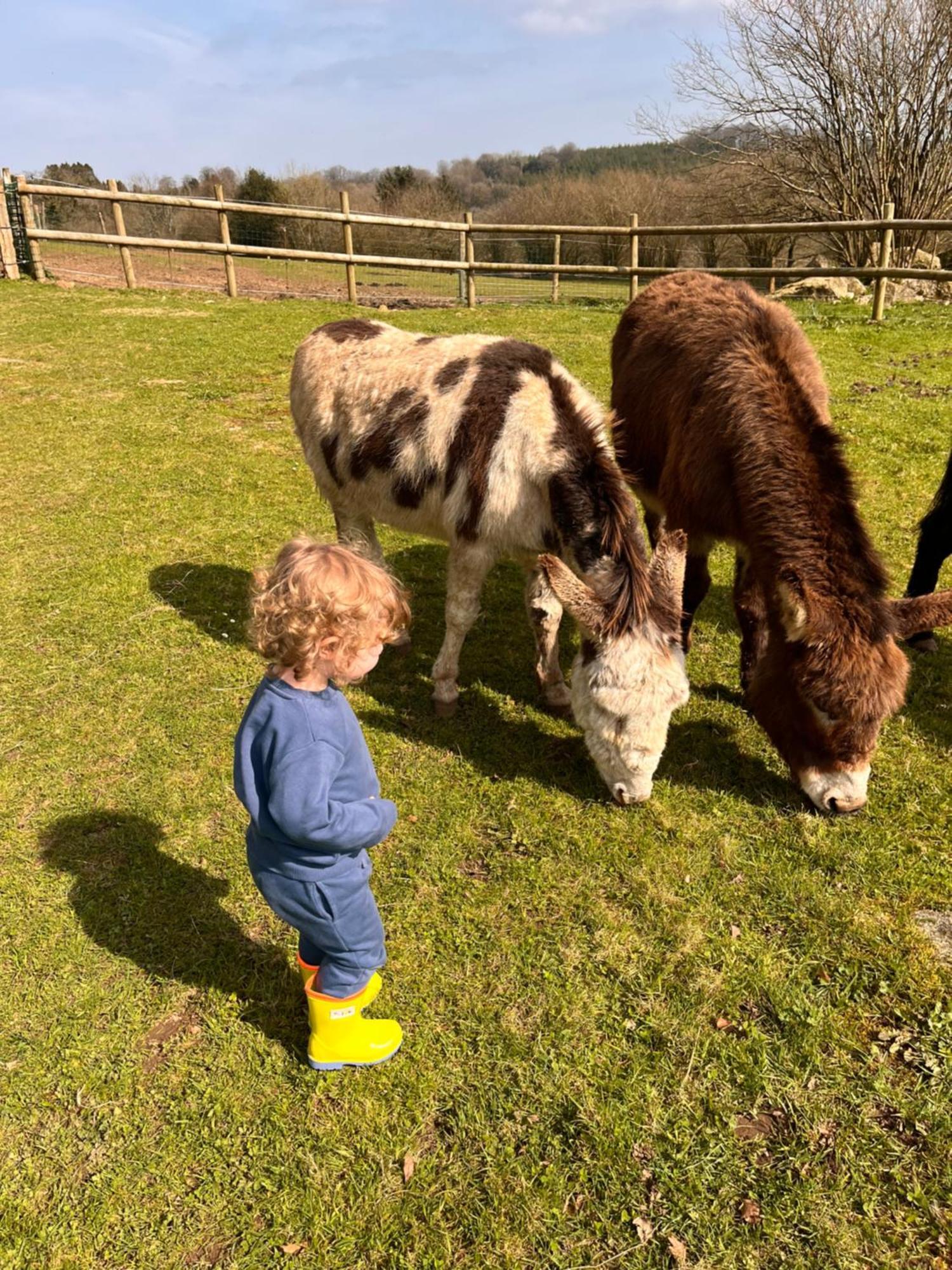 Villa Madelaine Ranch, Nouvelle Piscine 2025 Le Gast Esterno foto