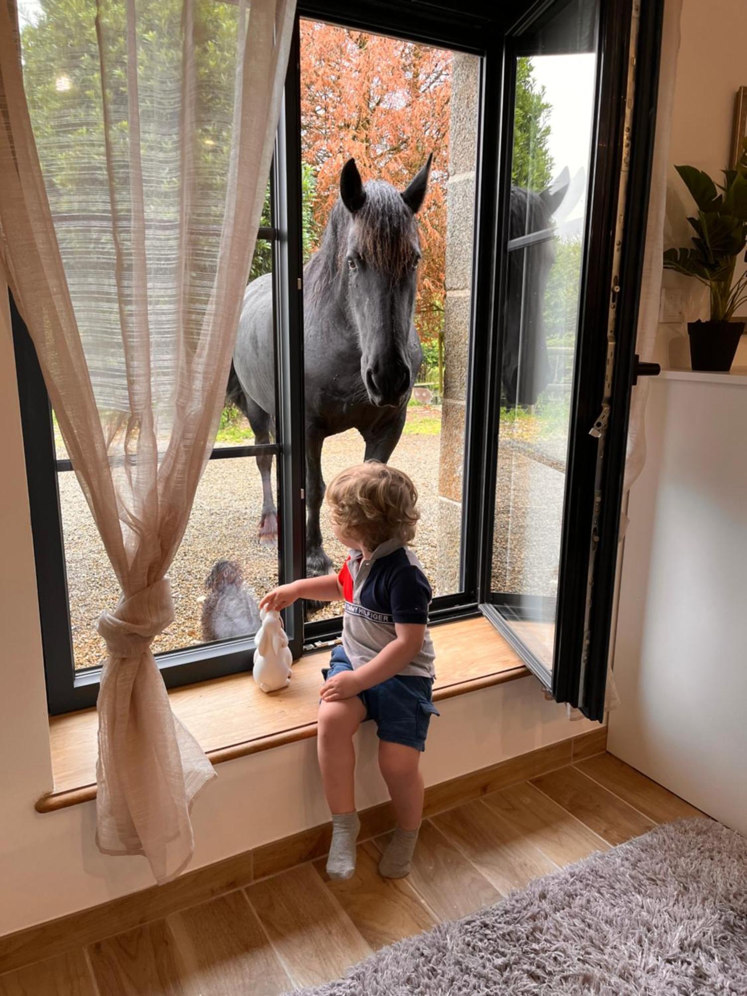 Villa Madelaine Ranch, Nouvelle Piscine 2025 Le Gast Esterno foto